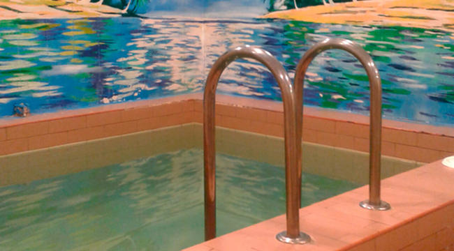 Фотография  Финская сауна с бассейном в гостиничном комплексе Мотель Мельник